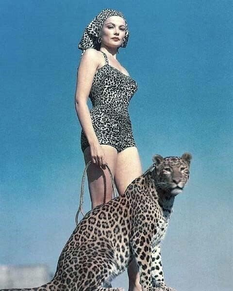 Gene Tierney feltűnő jelentenek a leopárd mintás fürdőruha a leopárd 4x6 fénykép