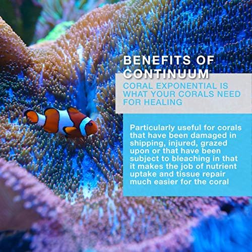 Folytonosság Vízi Korall Exponenciális - Korall Növekedést Gyorsító & Aminosav Komplex Élő Korallok & akváriumok Zátony,