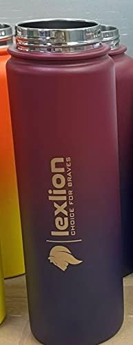 Lexlion Víz Üveg 32 Oz, Tripla Falú Szigetelt Rozsdamentes Acél újra felhasználható, Széles Száj, Gyümölcs Diffúzor-Termikus