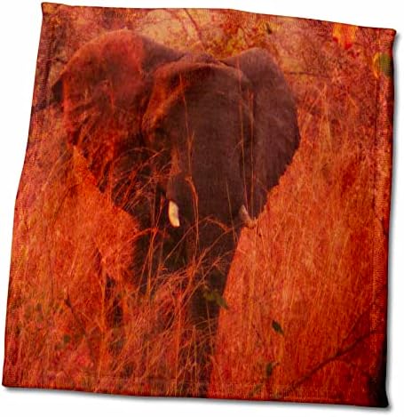 3dRose Cassie Peters Elefánt - Elefánt - Törölköző (twl-283686-3)